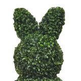 Boxwood Easter Bunny Topiary, Green, 35", by My Texas House