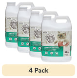 (4 pack) Special Kitty Scoopable Tight Clumping Cat Litter, Fresh Scent, 20 lb
