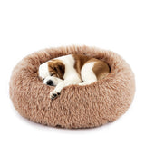 Orthopedic Memory Foam Dog Bed with Washable Cover