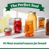 (2 pack) Ball 16 oz Mason Jars Regular Mouth 12pk, Pint Canning Jars with Lids and Rings, Bulk Ball Jars for Canning Jam, Jelly, Tomato Sauce, and Preserves
